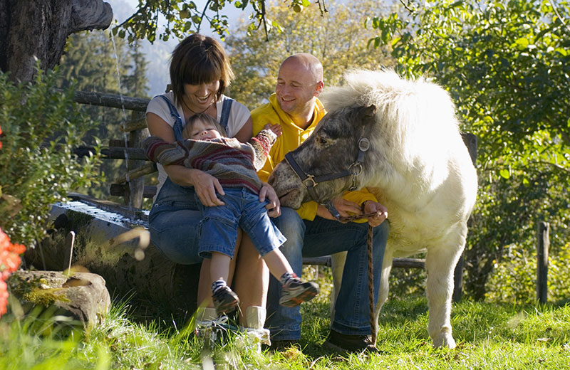 Vacanze in agriturismo - Vacanze su un maso con animali